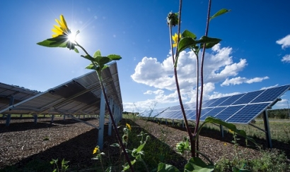 Tribal Utility-Scale Solar Initiatives Emerge Across Southwest US