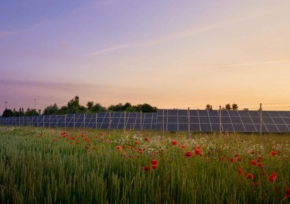 Companies Partner to Boost Biodiversity at UK Renewable Energy Sites