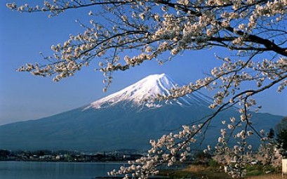 Japan&rsquo;s wind farms unscathed by earthquake