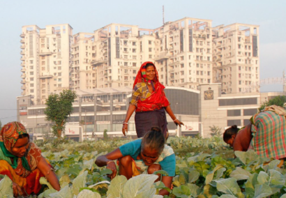 Los beneficios de frenar el cambio climático han sido sumamente subestimados