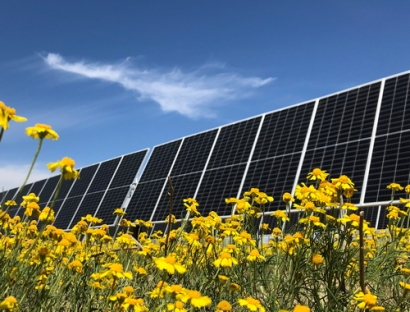 Nestle Invests in Taygete I Solar Project