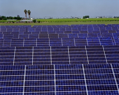 Texas Cooperatives Agree to Purchase 7 MW of Distribution-Scale Solar Energy