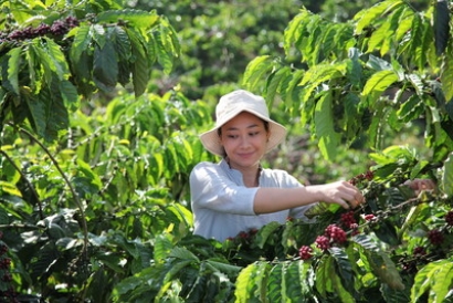 Nestlé Launches NESCAFÉ Plan 2030 to Help Drive Regenerative Agriculture