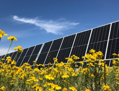 Nestlé Invests in Texas Solar Project