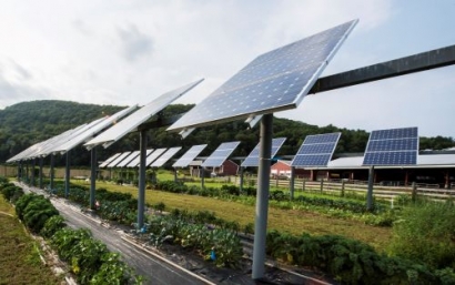 Amazon Announces Solar Project in Virginia