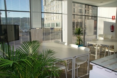 The Rise of Green Offices and Their Benefits On Productivity