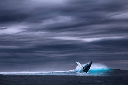 Over 150 Companies Take Principled Stand at UN Ocean Conference