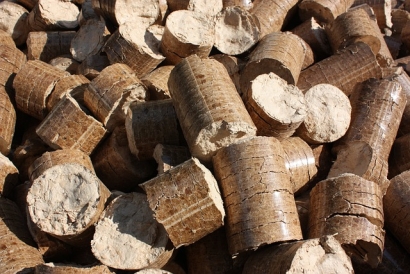 Leading Forest Experts Confirm British Columbia Wood Pellets Are Responsibly Sourced