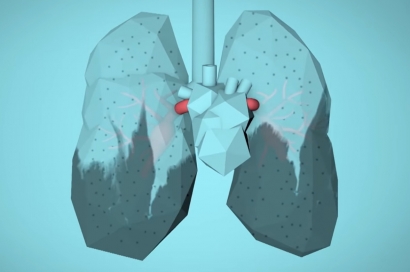 Hoy es el Día Internacional del Aire Limpio por un cielo azul