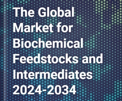 From Biomass to Market: Unveiling the Dynamics of the Global Biochemicals Industry 