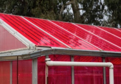 Solar Greenhouses Generate Electricity and Grow Crops