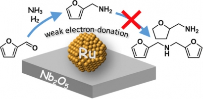 Reusable Catalyst Could Revolutionize Biomass Industry