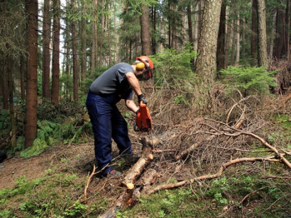 Clean Energy Technologies Enters MOU for $15 Million Biomass Project