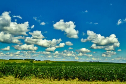 Continental Refining to Repurpose Refinery to Create Biofuel Facility in Kentucky