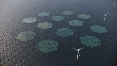 Solarduck Awarded Largest Hybrid Offshore Floating Solar Power Plant At Offshore Wind Park 