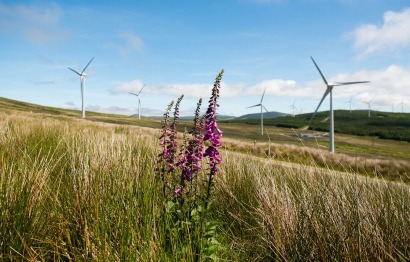 Ørsted and FuturEnergy Ireland Granted Planning Approval for 121 MW Coom Green Energy Park
