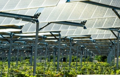Companies Partner on Development of Agricultural PV in France