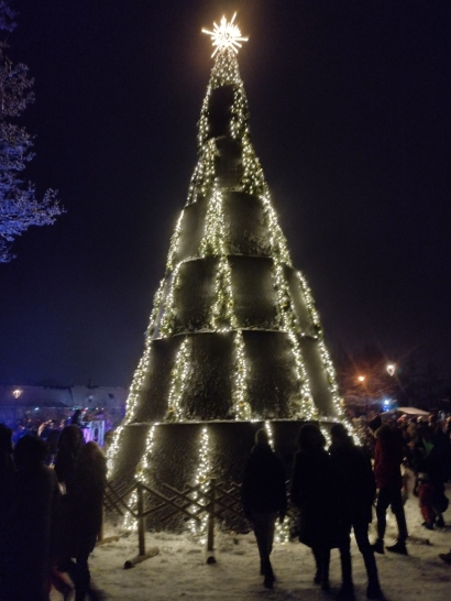 SoliTek Solar Power Plant Installed In Innovative Christmas Tree