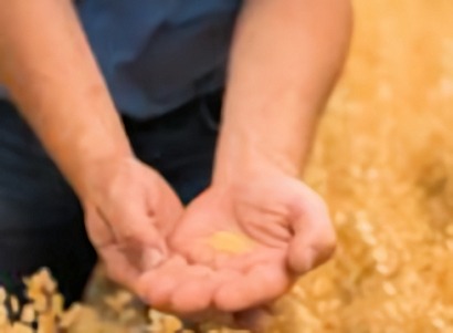 Clean Fuels Commends USDA on Interim Rule for Climate Smart Ag