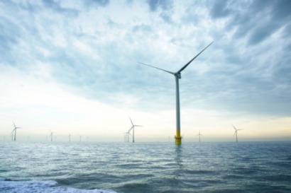 Offshore Wind Farms Shut Down to Protect Migratory Birds