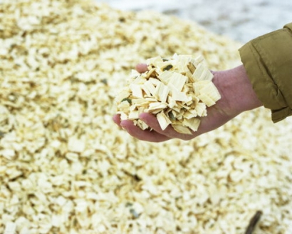 Glennmont Partners Completes Sale of Biomass Plant to Greencoat Capital