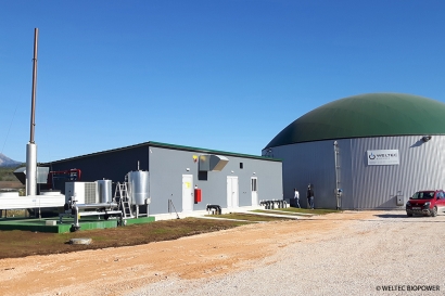 Greek Poultry Farmers Invest in Biogas Plants from Weltec Biopower