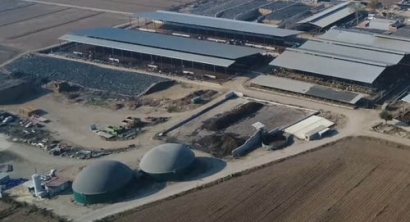 WELTEC BIOPOWER Plant Cuts Carbon Emissions of Dairy Cattle Farm