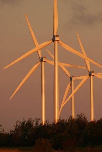REA sets out the true cost of supporting renewables ahead of government debate