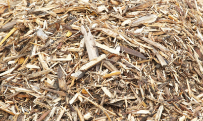 Canada Investing in Waste Biomass Facility