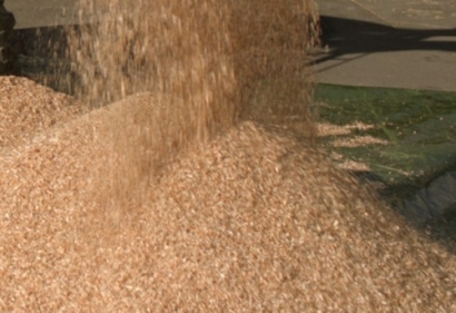 New Steam-Drying Technique for Wood  Being Tested at Pilot Plant in Spain