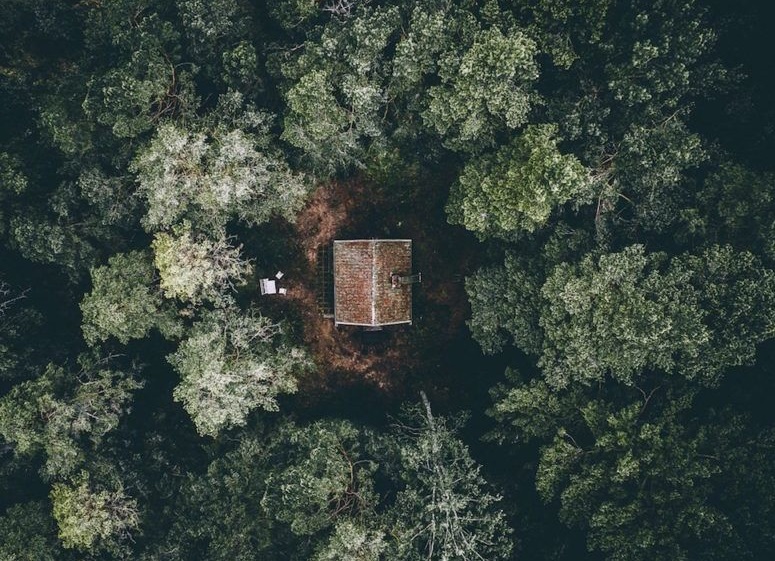 La biomasa, clave en la política forestal que necesitan nuestro bosques