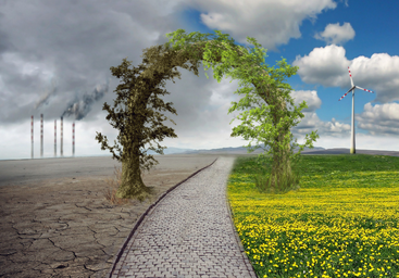 Navarra aprueba una nueva hoja de ruta climática  