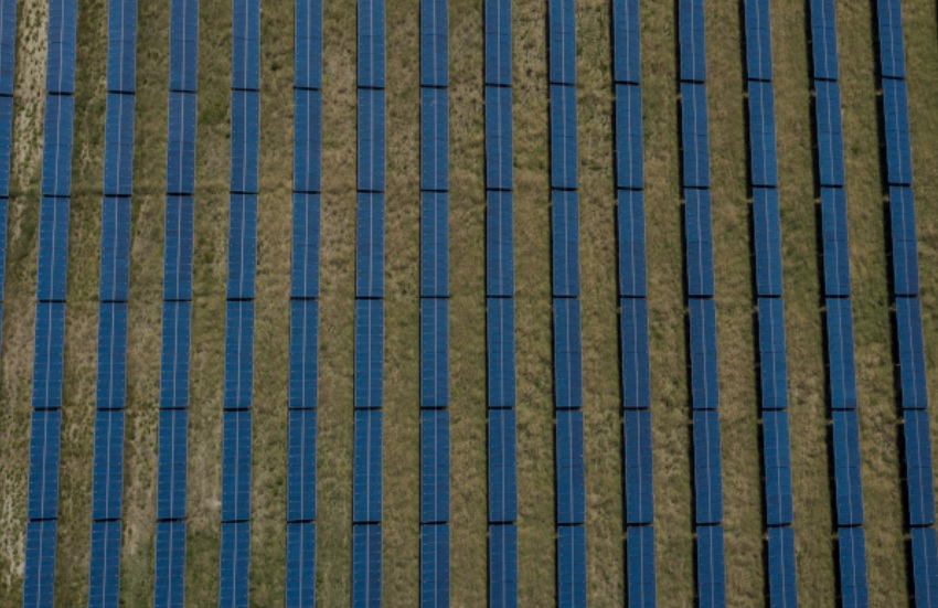 Dhamma Energy México gana 440 megavatios fotovoltaicos en la primera Convocatoria de Proyectos Privados 2025