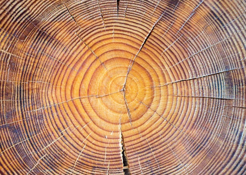 El Gobierno aprueba ayudas por valor de 100 millones de euros para recircular las renovables