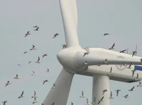 Mejora el estado de ánimo en la industria eólica mundial
 