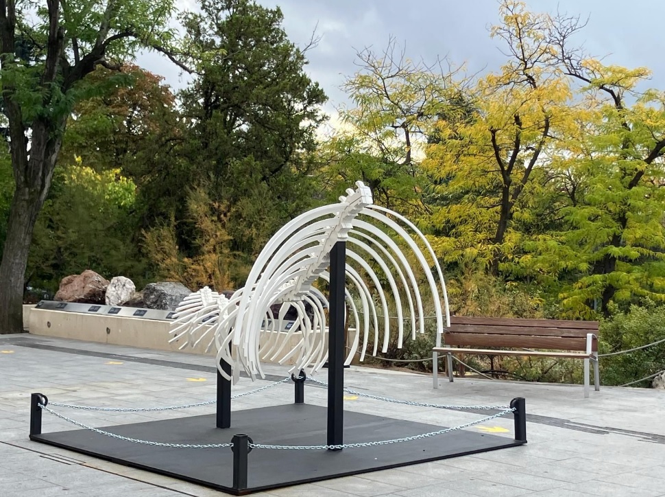 Este es el esqueleto del cambio climático