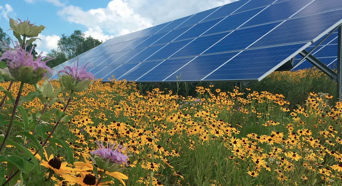 El Gobierno quiere parques eólicos y solares "excelentes" para las Zonas de Aceleración de Renovables