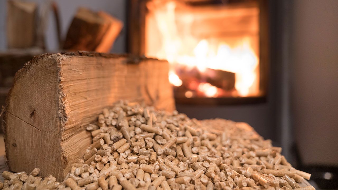 España, entre los cinco países con mayor volumen de pellets certificados ENplus® del mundo