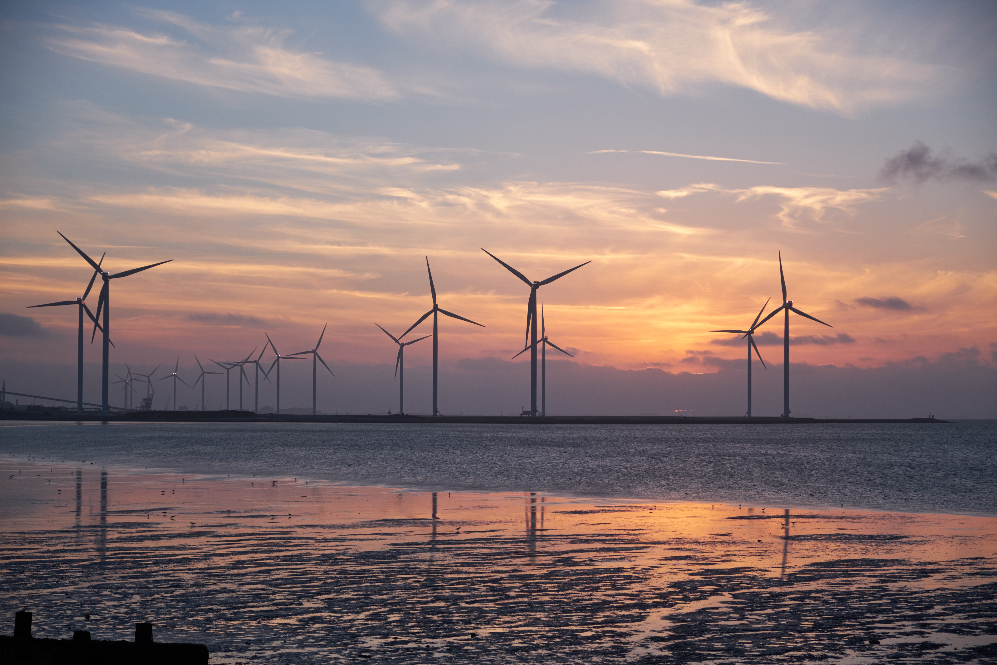 El Gobierno busca los perfiles más adecuados para el Panel Científico de Acción frente al Cambio Climático