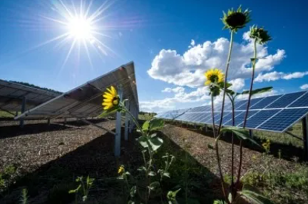 Récord de energía solar fotovoltaica