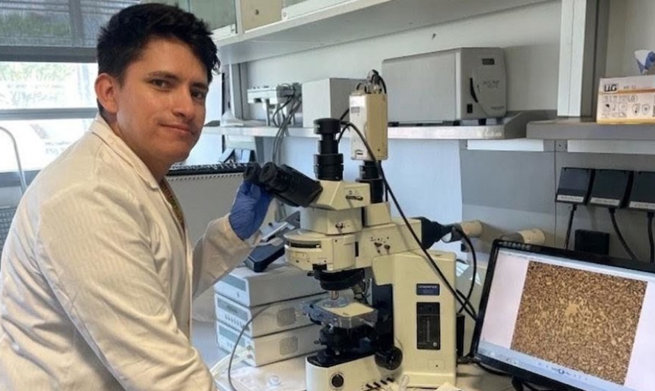 La Universidad de Huelva acelera la carrera del almacenamiento de energía solar La Universidad de Huelva acelera la carrera del almacenamiento de energía solar