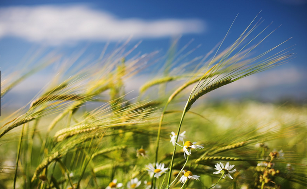 La electricidad hoy en Francia, 5 veces más cara que en España