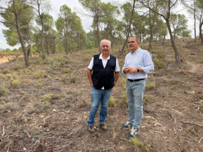 Un proyecto de aprovechamiento de la biomasa forestal genera empleo para combatir la despoblación en Murcia