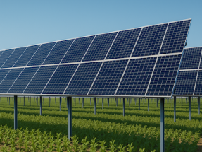 La fotovoltaica llega a la agricultura intensiva en Italia