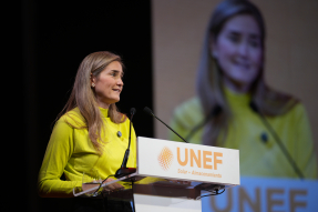 Aagesen: el impuesto al Sol beneficia "a muy pocos en perjuicio de la mayoría"