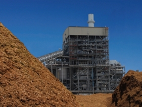 Austin Energy to Acquire Nacogdoches Biomass Facility