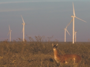 Vestas suministrará 18 máquinas de 4,5 megavatios a la cuarta fase del parque argentino Aluar