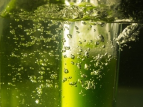 Researchers Develop Two-Step Method for Green Fuel