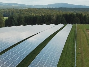 El Gobierno desmantela la Evaluación de Impacto Ambiental para dar luz verde exprés a decenas de megaparques eólicos y solares