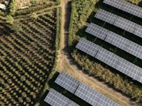 FruitPV, nuevo proyecto de agrovoltaica en Portugal